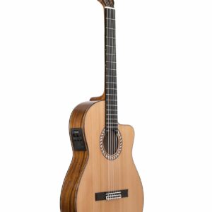 GUITARRA CUTAWAY PRUDENCIO SAEZ 4-CW (56)