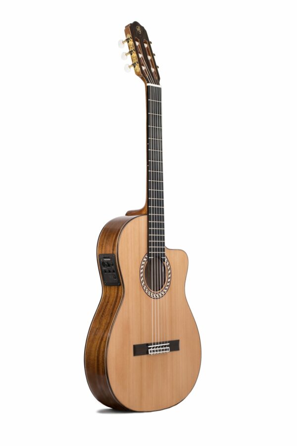 GUITARRA CUTAWAY PRUDENCIO SAEZ 4-CW (56)