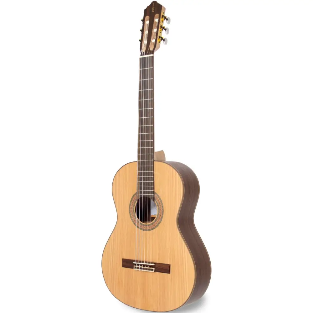 Guitarra Clásica APC 8-CYP